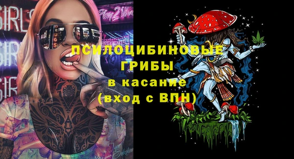 спиды Сясьстрой