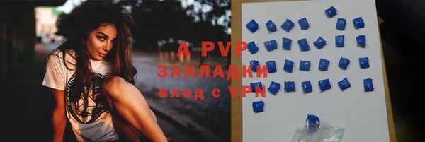 спиды Сясьстрой