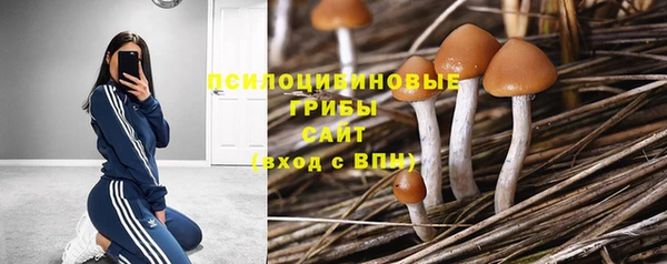 марки lsd Богородицк