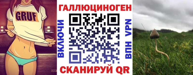 Псилоцибиновые грибы Cubensis  где купить наркотик  Далматово 